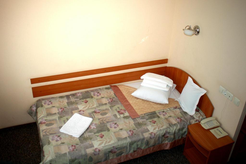 Druzhba Service Hotel Киев Стая снимка